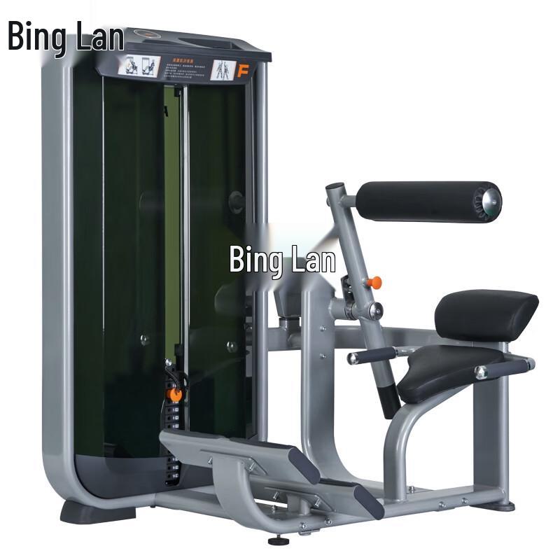 Binglan GM9011T Multifunctional Core & Back Trainer