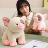 Cute cute little fragrant pig doll plush toy pig doll children sleep soothing rag doll birthday gift