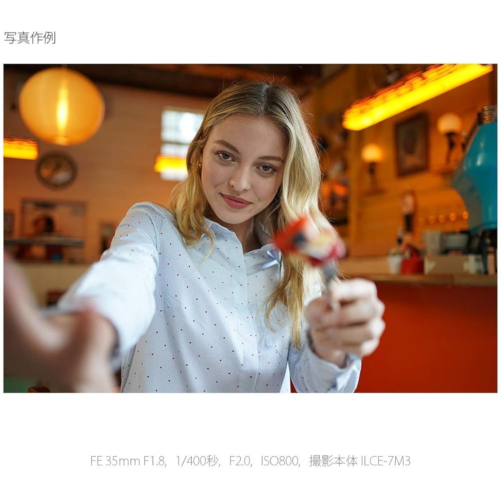 SONY (Sony) Wide Angle Single Focus Lens Full Size FE 35mm F1.8 Digital Single Lens Alpha [E Moun...