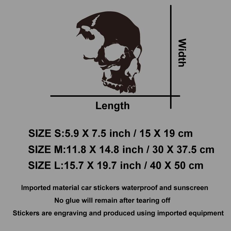 Craniu schelet cu textură avansată, modele aventură în aer liber, autocolante aventură în aer liber, decorațiuni cu tematică natură, vinil durabil