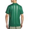 Nike Dri-Fit Zhejiang Team Home Fan Version Quick-Dry Crew Neck Short Sleeve Football Shirt Men tops IQ0496-341