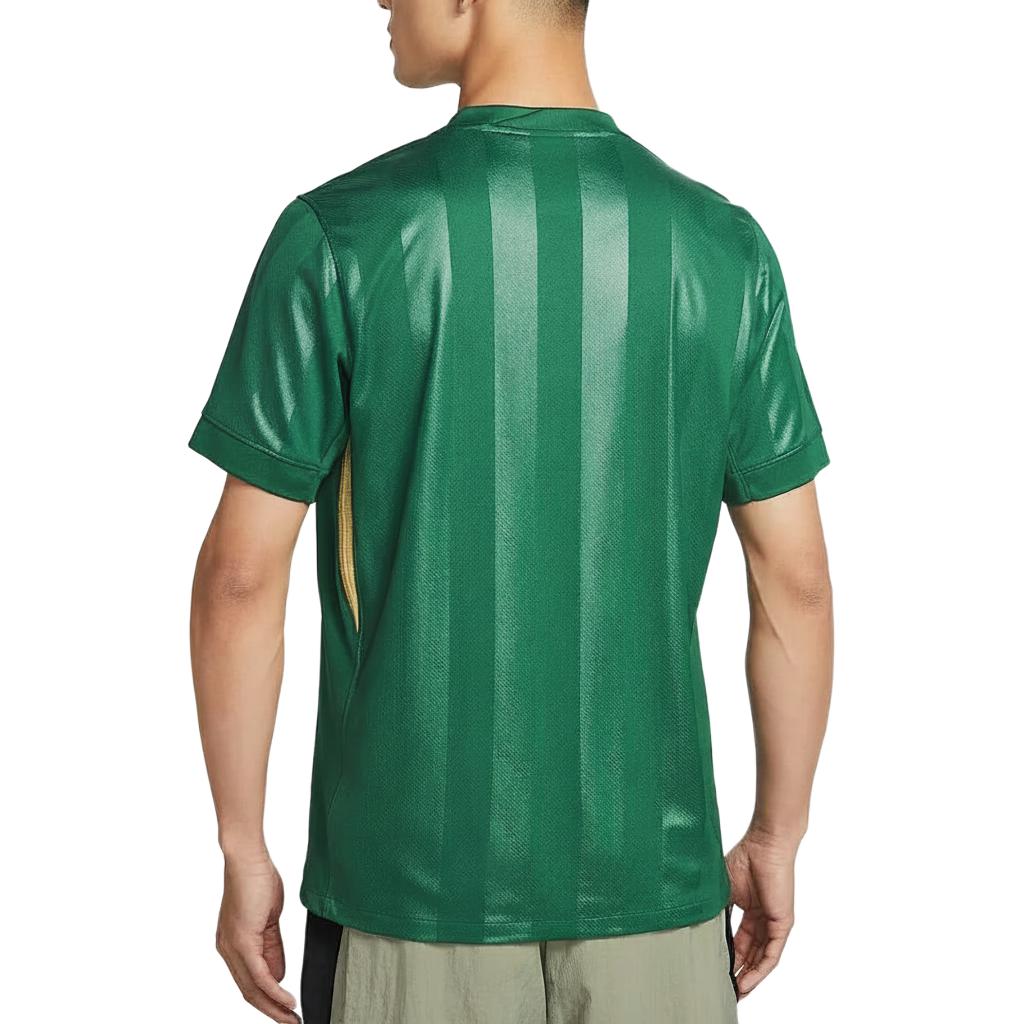 Nike Dri-Fit Zhejiang Team Home Fan Version Quick-Dry Crew Neck Short Sleeve Football Shirt Men tops IQ0496-341