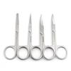 Round-Head Stainless Steel Eyebrow & Beard Trimming Scissors for Beauty & Nose Hair