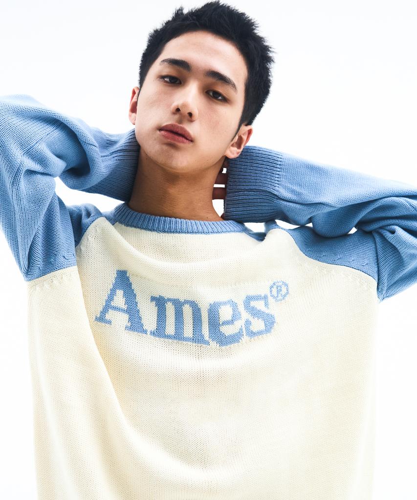 AMES-WORLDWIDE Basic Raglan Pullover Knit Light Blue