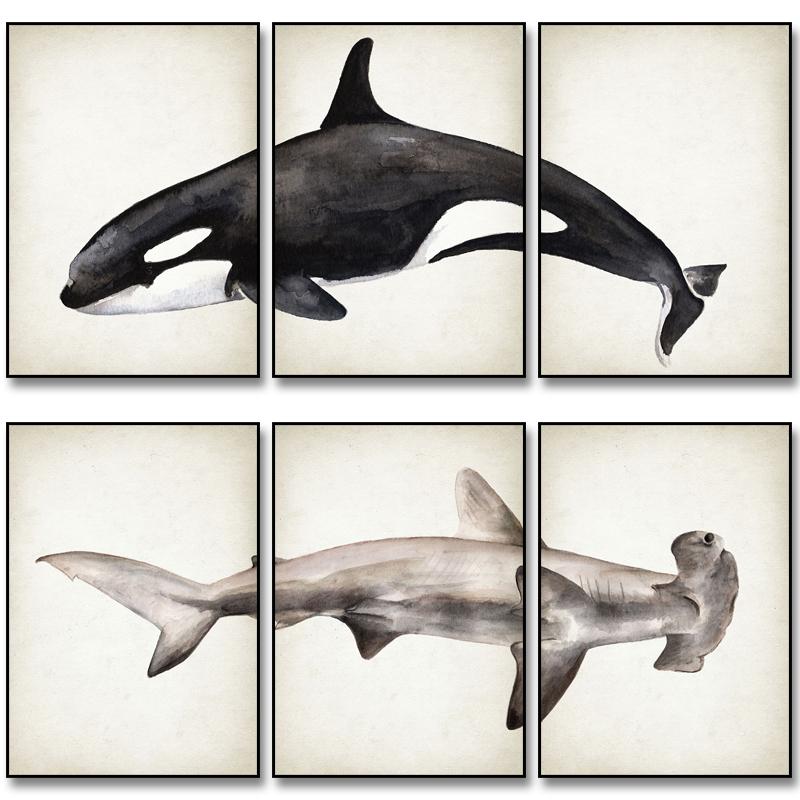 Marine Animals Canvas Paintings Great White Shark Posters and Prints Killer Whale Wall Art Picture for Home Decoration No Frame