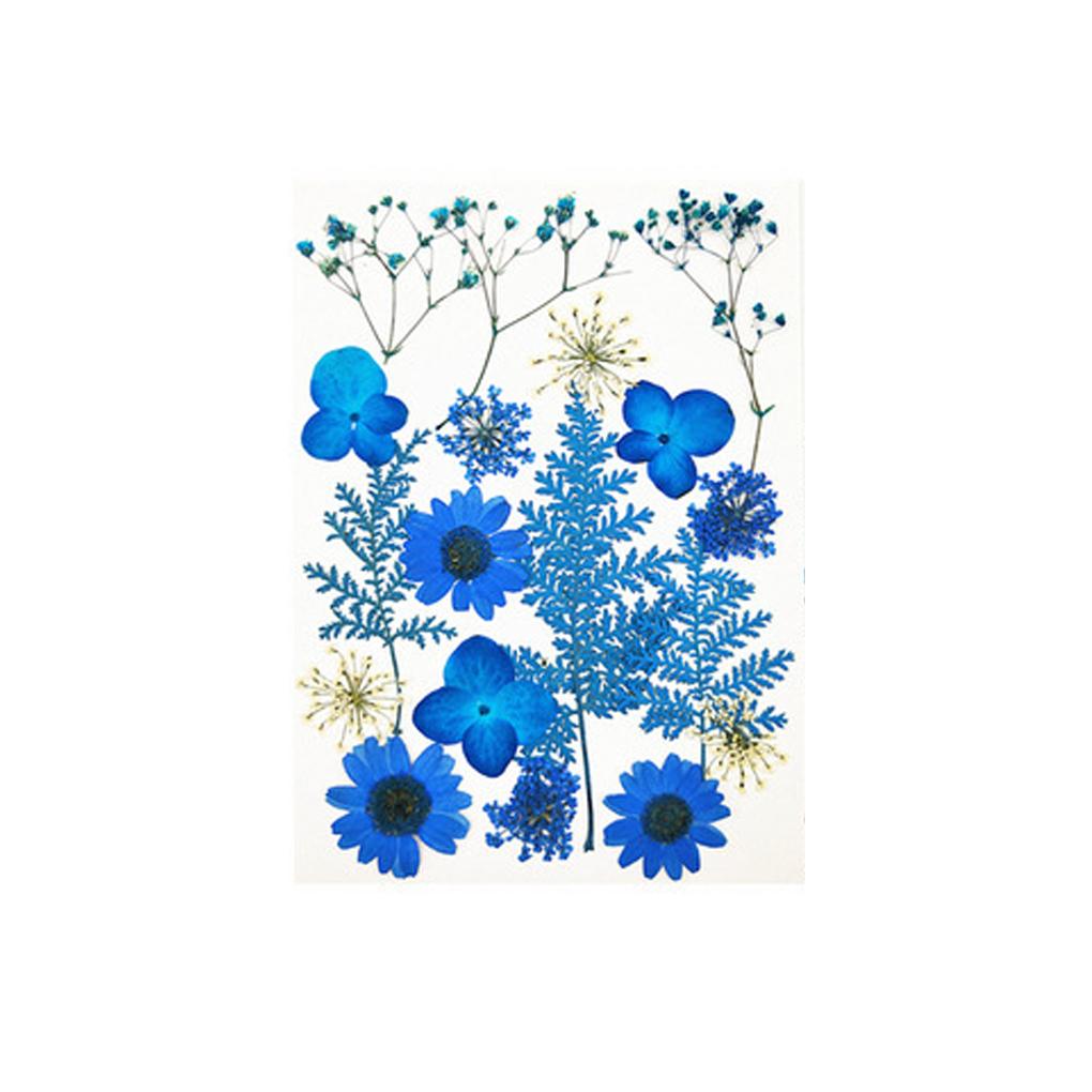 

Прессованные цветы Украшения для лица Свадебные принадлежности Цветы из смолы Ручная работа Мастерство Скрапбукинг Реквизит DIY Аксессуар