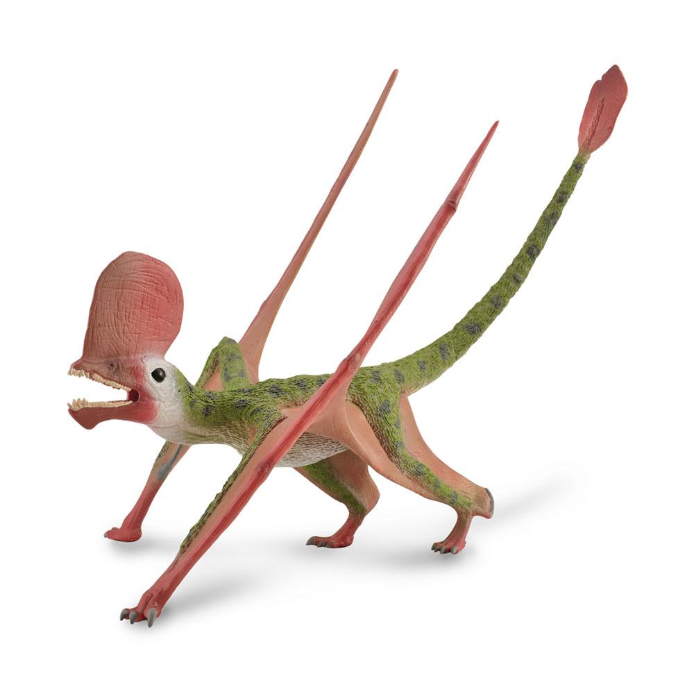 

CollectA Caviramus Figure with Movable Jaw (Deluxe)