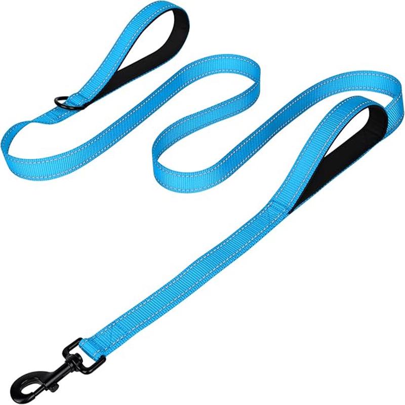 Double Layer Explosion-Proof Reflective Dog Leash - Shock-Absorbing, Thickened Pet Leash