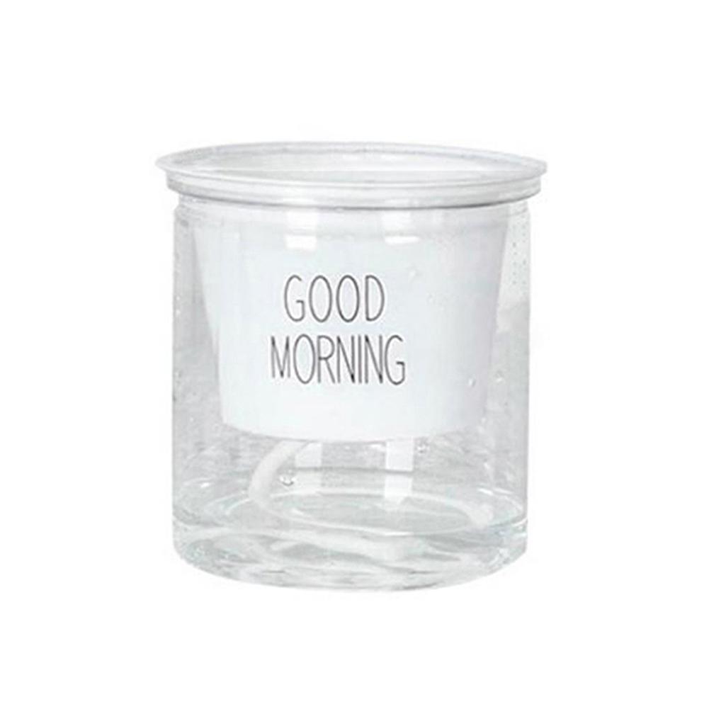 Stylish and Functional Automatic Water Absorption Flower Pot for Indoor Plants