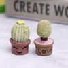 5Pcs Miniature Succulent Plant In Pot For Dollhouse Furniture Decoration Home