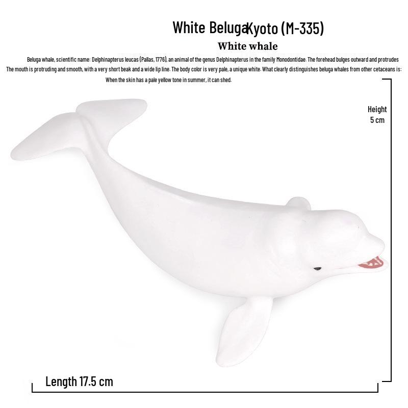 Beluga Whale & Shark Marine Animal Toy for Kids - Educational Plastic Model
