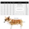 Transparent Brim Dog Rain Poncho Fluorescent Pet Rain Jacket Dog Clothes Dog Raincoat  Corgis