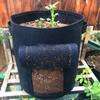 Multi-purpose Thicken Plant Grow Bags Access Flap Harvest Window Potato Pot Aeration Handles Vegetables Planter Tub Outdoor