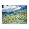 Van Gogh Classic Art Prints Abstract Sunflowers Starry Night Poster Classic Art Decorative s Bedroom Hallway Home Deco