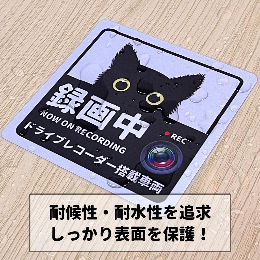Decoyocar Car Recorder Sticker, Square, 5.1 X 5.1 Inches (13 X 13 Cm), Black