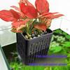 Yousheng 1/2/3/5/10 Peças Suporte para Plantas de Aquário Pendurado no Topo Vaso Plantador para Aquário com Gancho Copo de Plástico para Plantas Aquáticas para Decoração de Aquascaping