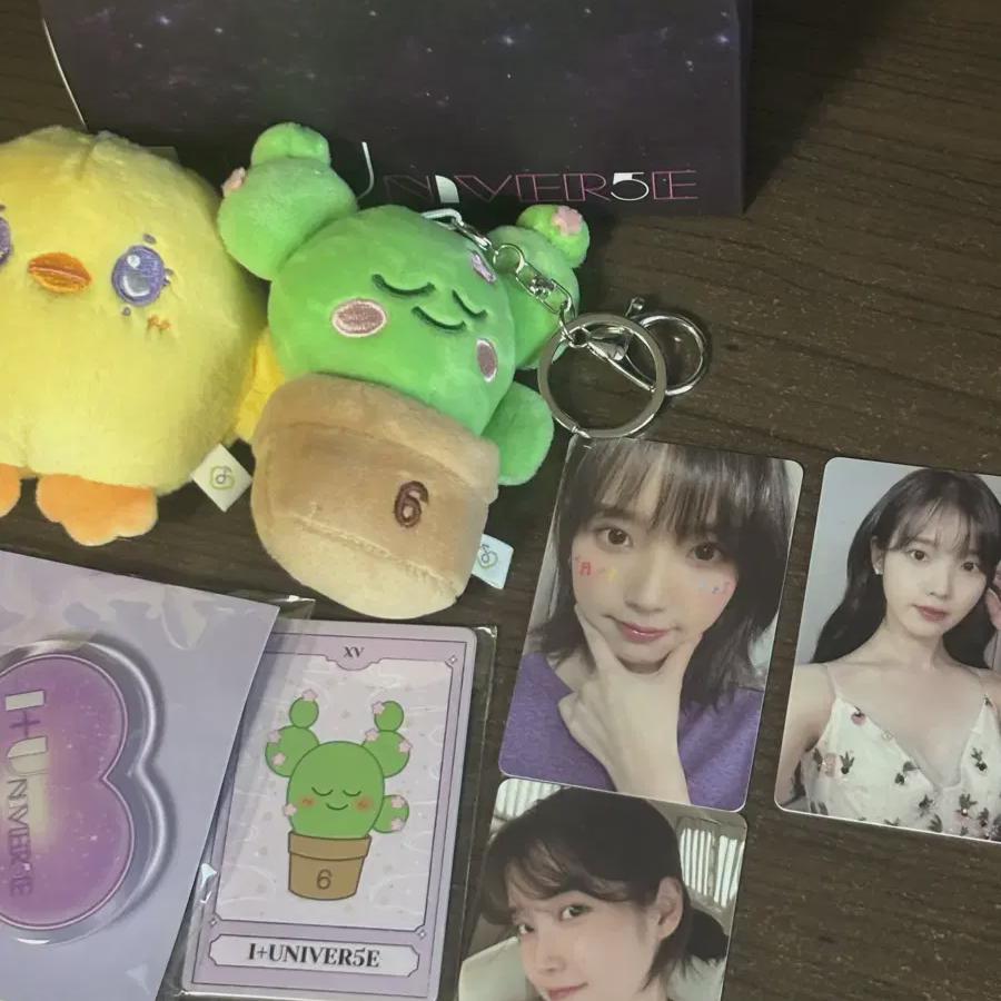 

Iu 2023 Fanconcert Yeokjogong Full Set