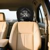 2 pieces of realistic car headrest covers with cute cats showing their faces, washable and stretchable, car interior decoration