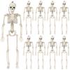 With Sound Halloween Movable Skeleton 40cm Simulated Human Skeleton  Haunted House