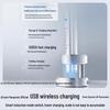 Panasonic Sonic Electric Toothbrush CN Plug (adapter Included)