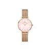 PETITE Series Watch Quartz Movement Stainless Steel Strap Mother-of-pearl Dial Women's Watch Rose Cherry Blossom Pink DW00100513