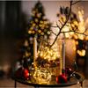 Copper Wire String Light Battery Operated Waterproof Fairy Light for Bedroom Christmas Party Wedding Garden Indoor Outdoor Decor
