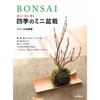 BONSAI FeelCreateDecorate Mini Four Seasons