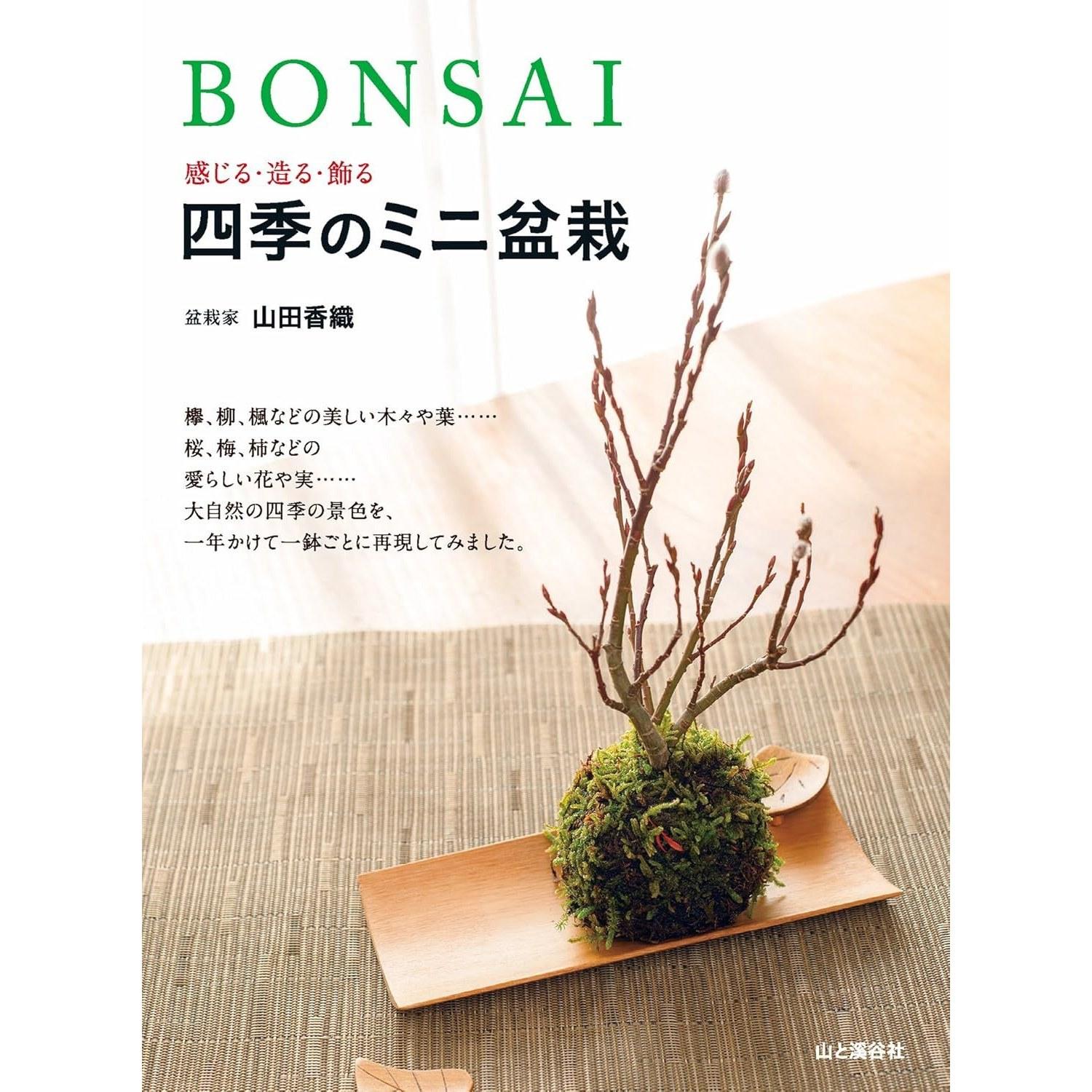 BONSAI FeelCreateDecorate Mini Four Seasons