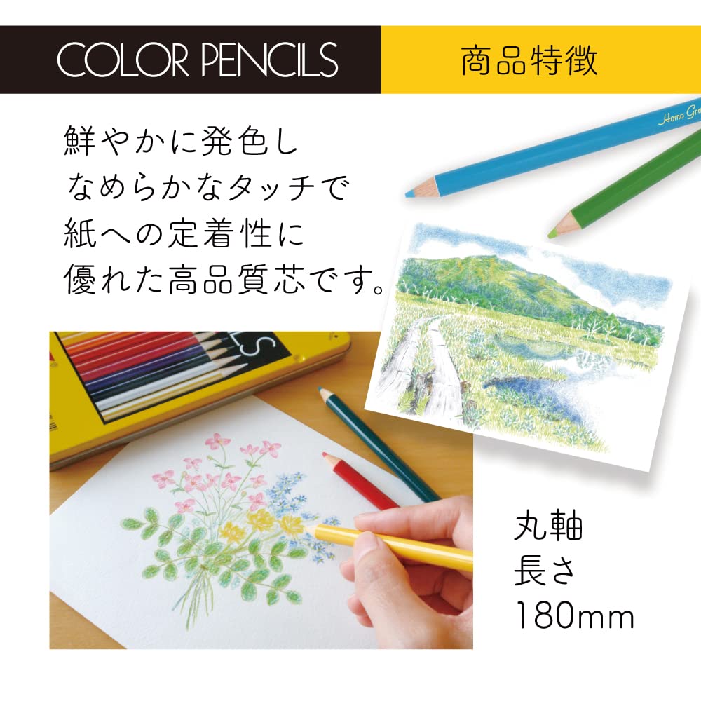 Tombow Colored Pencils 24 Colors In Roll Case and Compact Comes with Mini Pencil Sharpener (Light Storage) MJ-CRNQ24CQAAZ
