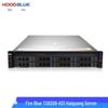 Hoodblue TS8208-H31 Loongson Enterprise 2U Rackmount Server