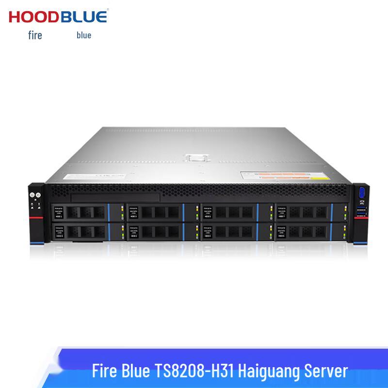 Hoodblue TS8208-H31 Loongson Enterprise 2U Rackmount Server