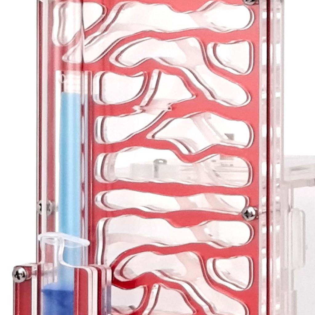 ANT Housing Nest DIY Funny Toys with Feeder Acrylic Habitat for Children's Day Lovers Decoration Tabletop Science Observation