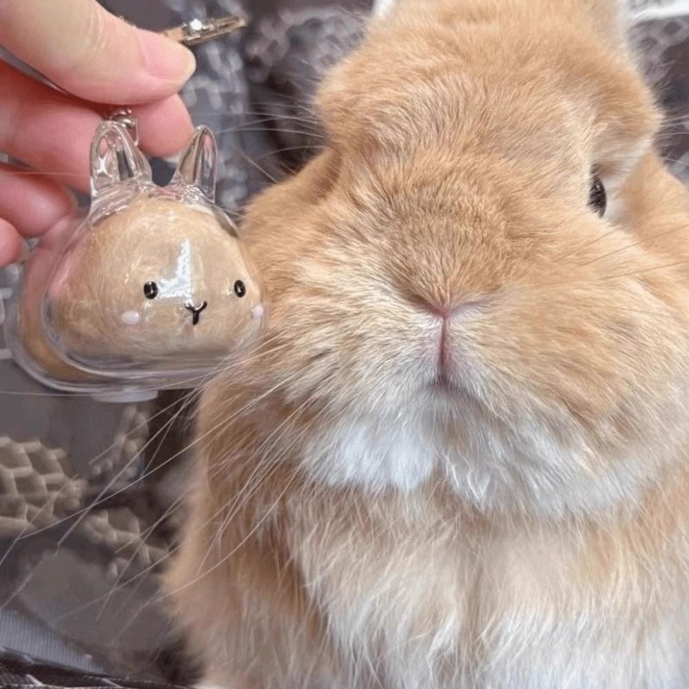 Transparent Acrylic Keychain Cat Hair Storage Capsule Dog Hair Storage Container Memorial Key Ring