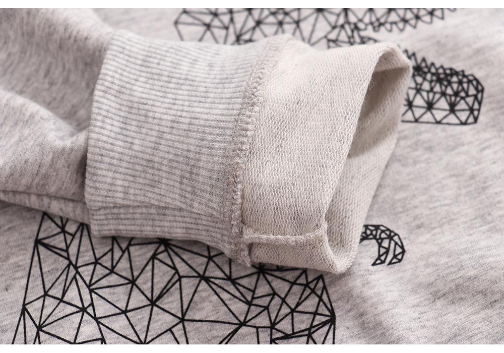 European Style Kids' Cotton Long-Sleeve Hoodie for Autumn and Winter