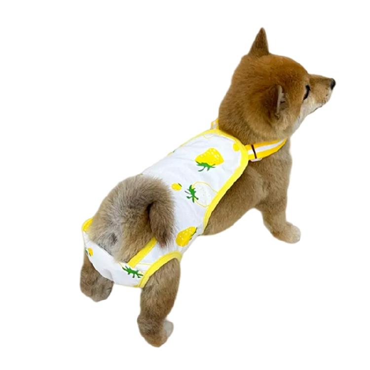 Cotton Dog Period Underwear For Female Pet Easy To Clean And Odor Control
