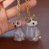 Hair Grooming Dog Hair Storage Box Transparent Puppy Pendants Pet Hair Keychain  Pet lovers