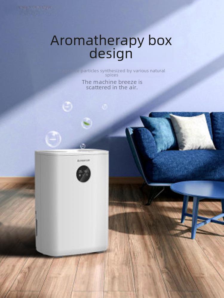 Chigo Household Bedroom Dehumidifier with Air Drying and Indoor Negative Ion Function