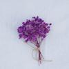 Mini Dried Flower Bouquet for DIY Decoration and Gift Accessories