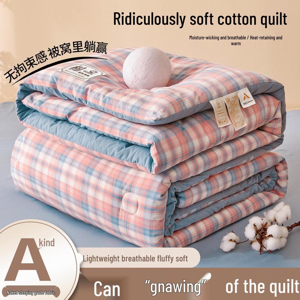2025 All-Season Quilts: Thick Washed Cotton for Winter, Xinjiang Cotton for Summer, and Versatile Spring/Autumn Comfort
