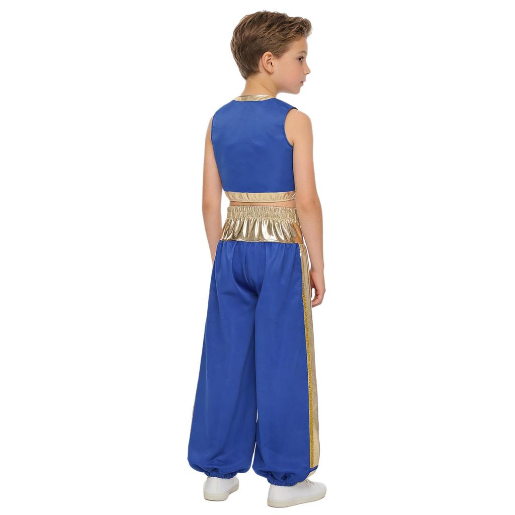 Boys Arab Prince Cosplay Costume 2Pcs: Loose Vest & Metallic Shiny Patchwork Bloomers Harem Pants Outfit for Halloween Party