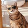 Gafas de Sol Triangulares Vintage para Gatos Mascotas Productos para Perros Pequeños Gatito Cachorro Accesorios para Gatos Gafas Reflectantes