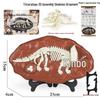 Jurassic Dinosaur Fossil Model Toy Set: Pterodactyl, Brachiosaurus, T. Rex & Stegosaurus Skeletons for Kids