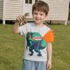 Summer 2026 Boys' Shark Print Short-Sleeve T-shirt - European & American Style