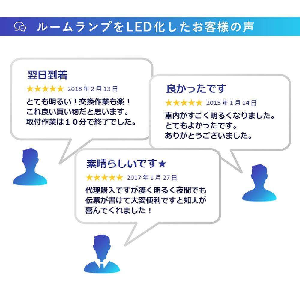 T10 31mm LED Set of for Room Lamps Fcl. Bulbs, 12-LED Bulb, 2,