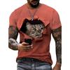 Letní Pánská Trička s Krátkým Rukávem s 3D Potiskem Kreslené Kočky s Kulatým Výstřihem