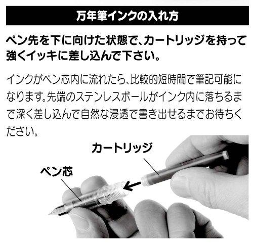 Platinum Fountain Pen Plaisir Medium Blue