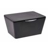 Storage Basket - Brazil - Box with Lid - Plastic (PET) - 19 X 10 X 15.5 Cm - Black