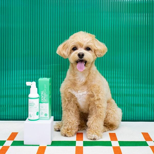 Lispet Lab Pet Toothpaste Oral Cleanser, koreański szampon dla zwierząt