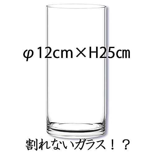 FOYER Unbreakable Vase, Stylish Polycarbonate, 25cm Tall, 12cm Wide, Small, Product Number 2300130