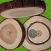 Natural Log Slice Piece Cup Mat Coaster Tea Coffee Mug Round Holder Creative Wood Hand Painted Photo Shooting Props, Multiple Size for Choice